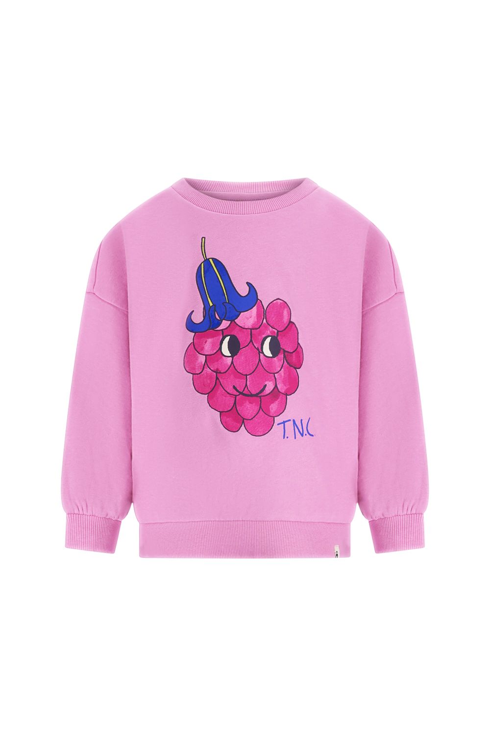 The New Chapter sweater Billie - Mauve Mist - Meisje - Girl