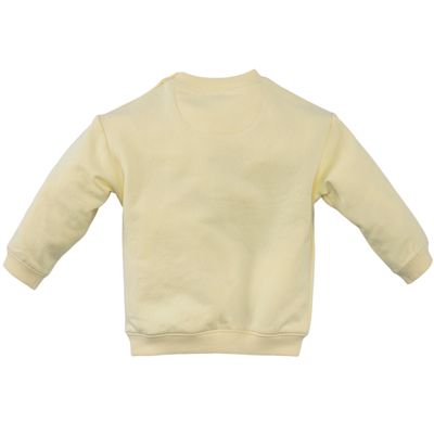 Z8 - Guus - Silly citron - Trui - baby boy - Jongen