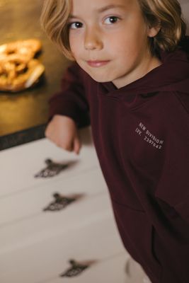 Levv-LW263DENVER-Sweater-Dark Red-Little Boys