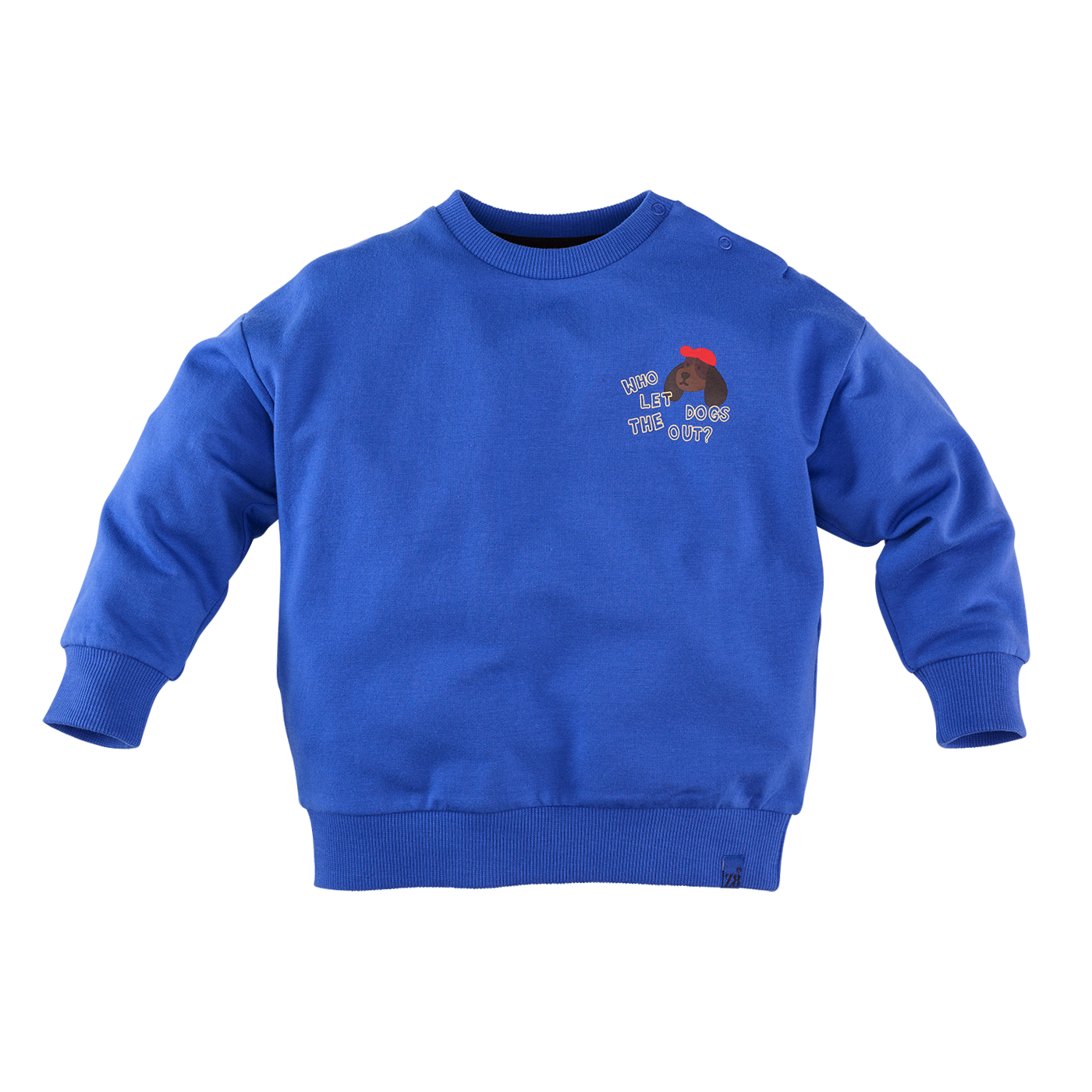 Z8-Vinz-Electric blue
