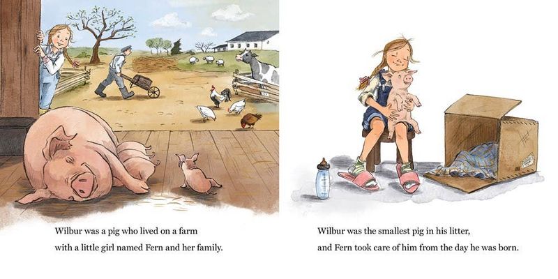 Charlotte's Web Board Book : E. B. White