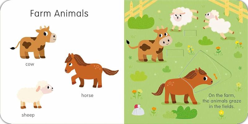 Slide And See Animals