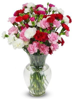 BENCHMARK BOUQUETS - 20 Stem Rainbow Mini Carnations