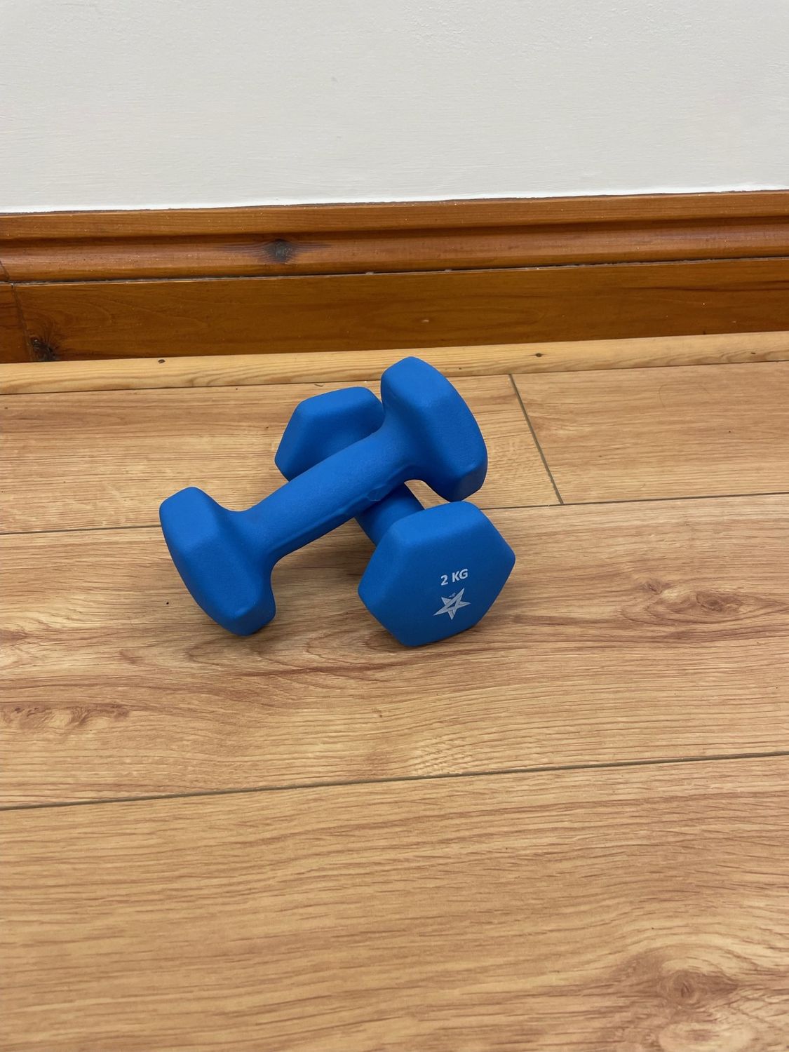 2 x 2kg hand weights