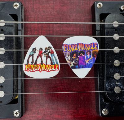 Guitar Picks