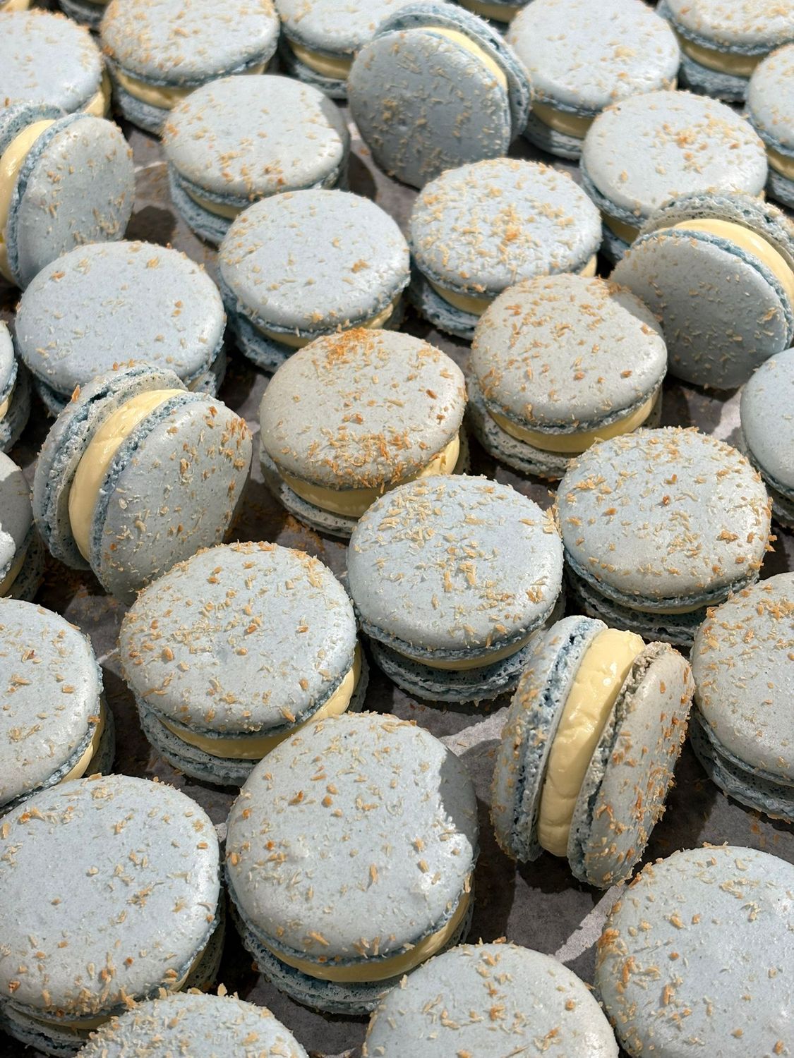 Kokos - doosje van 4 macarons