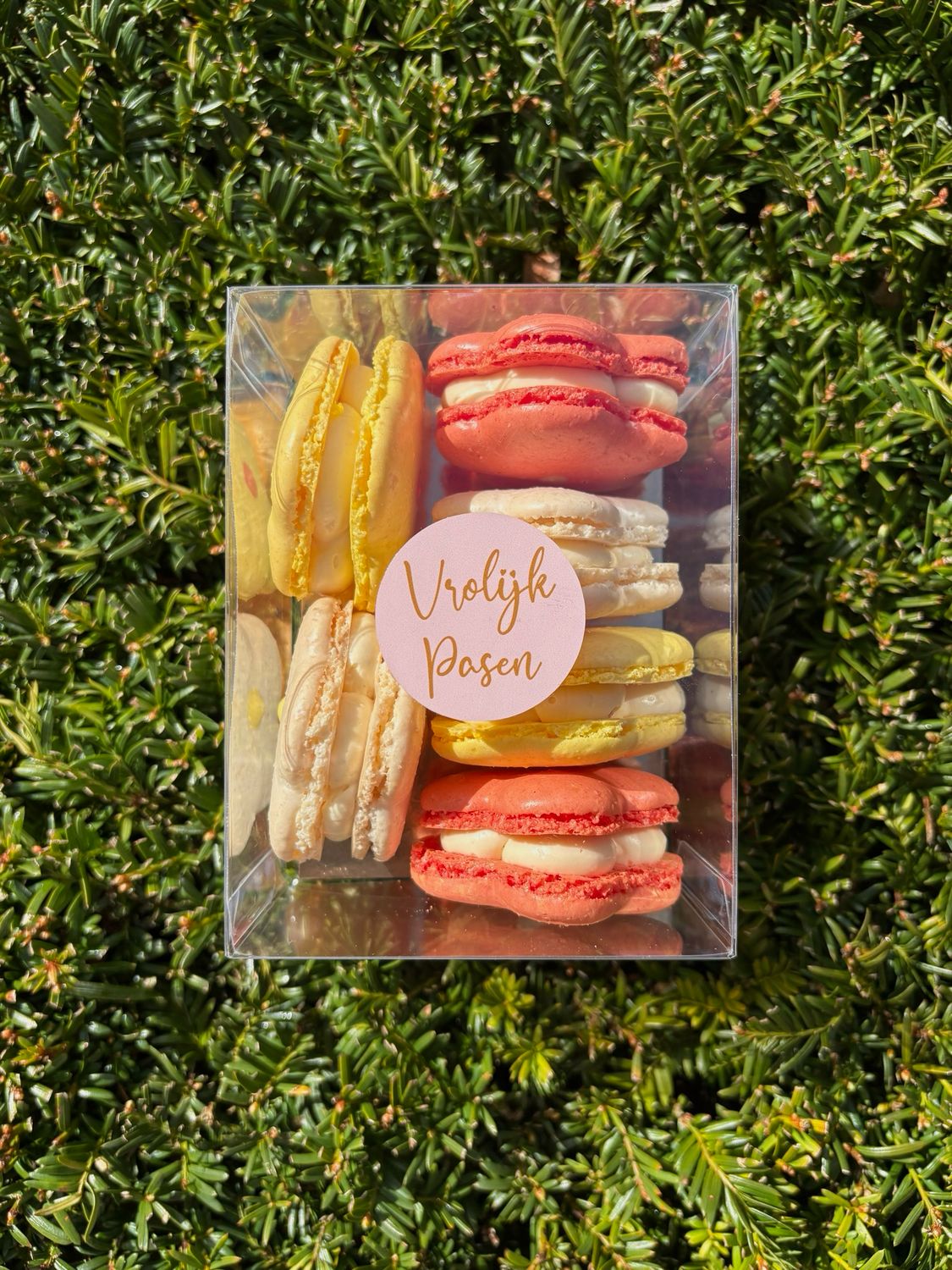 PAAS SPECIAL - doosje van 6 bloemetjes PAAS SPECIAL - doosje van 6 bloemetjes