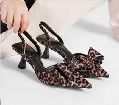 Go with the bow - Leopard