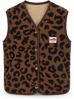 Teddy Leo - choco