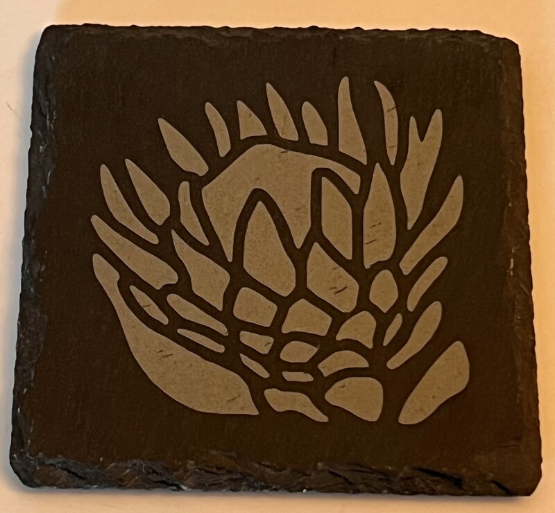 Coasters Slate set of 4 Proteas