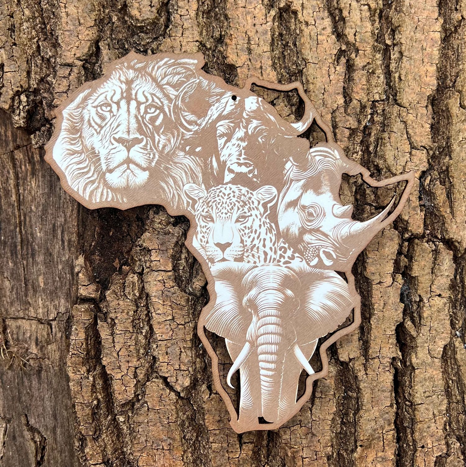Big Five Wall Plaque