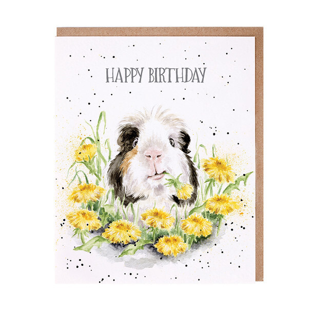 &#39;Dandy day&#39; Guinea Pig Birthday Card