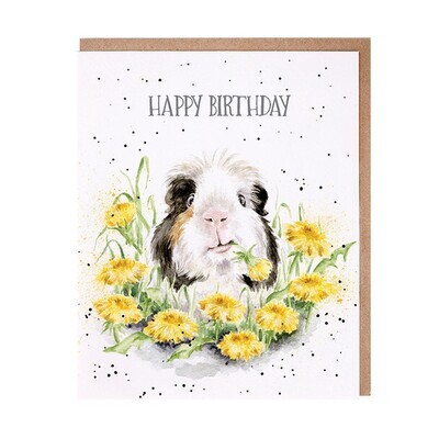 'DANDY DAY' Guinea Pig Birthday Card