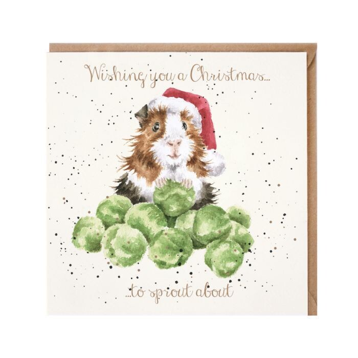'Sprouts' Guinea Pig Christmas Card