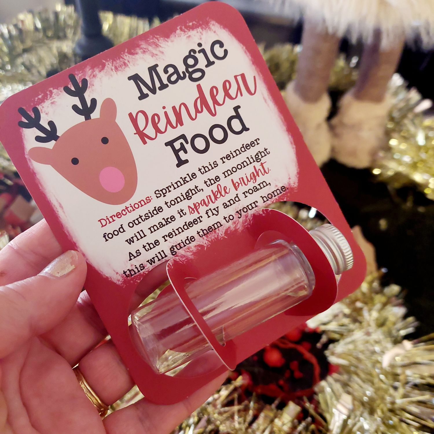 Magic Reindeer Food
