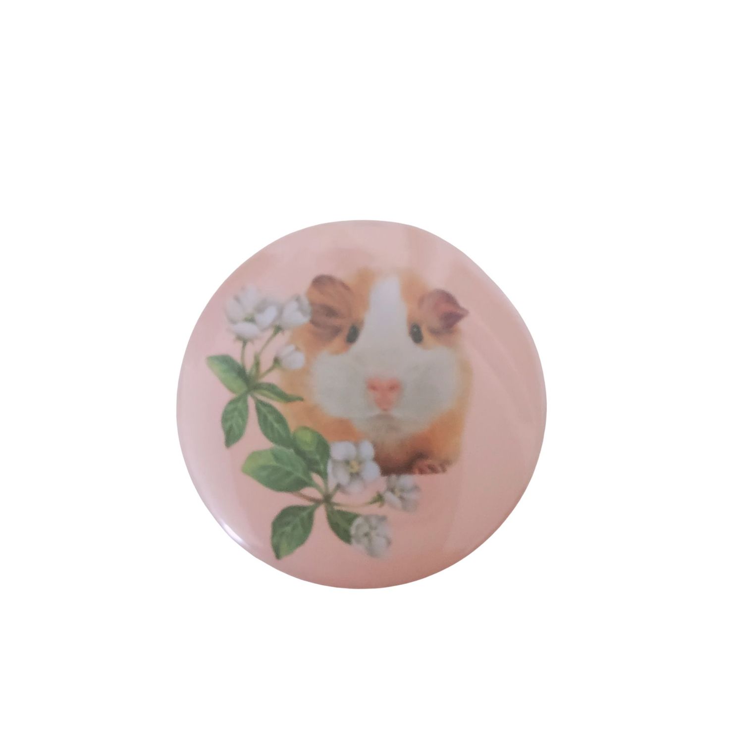 Guinea Pig Badge - Hide and Seek