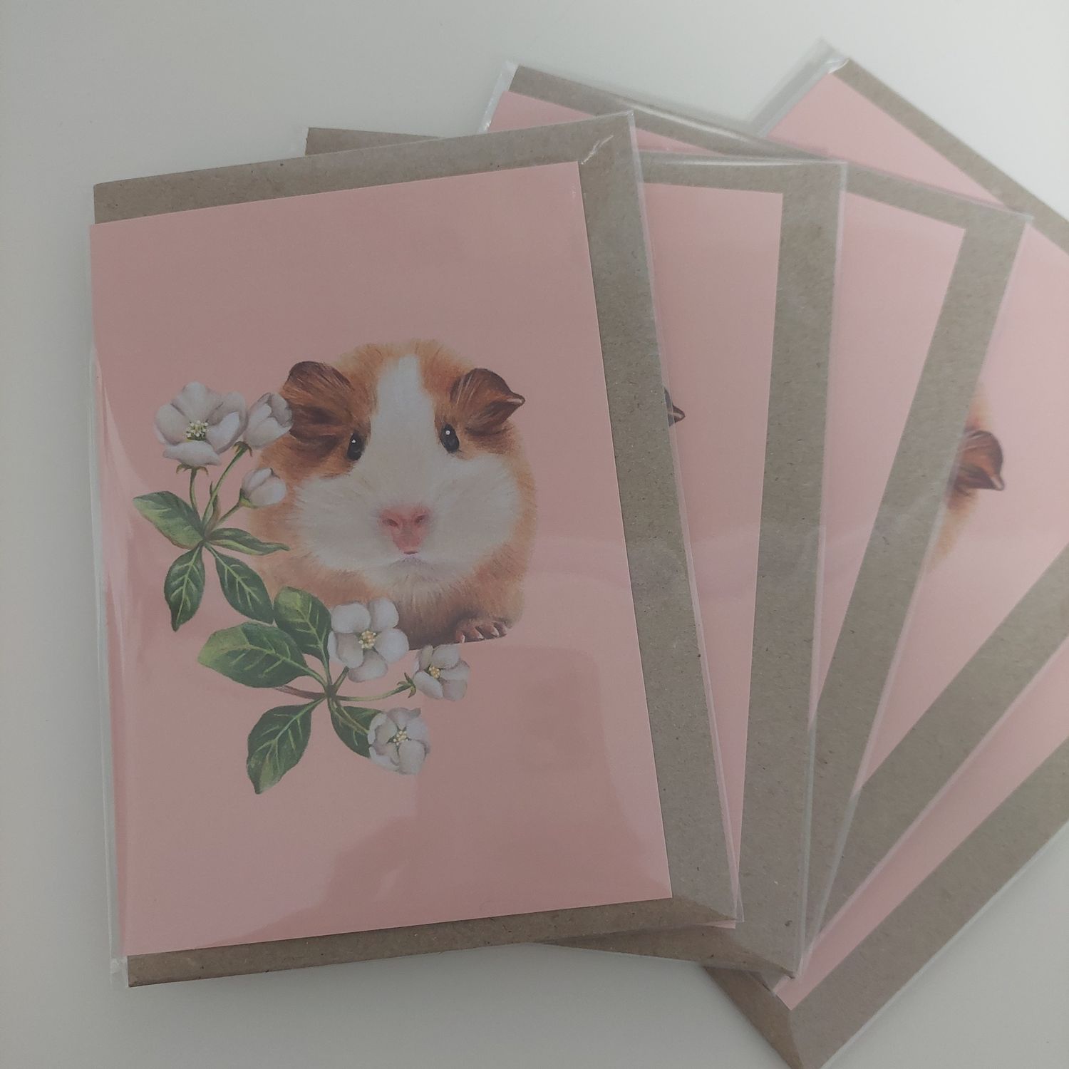 Guinea Pig Hide and Seek Greeting Card