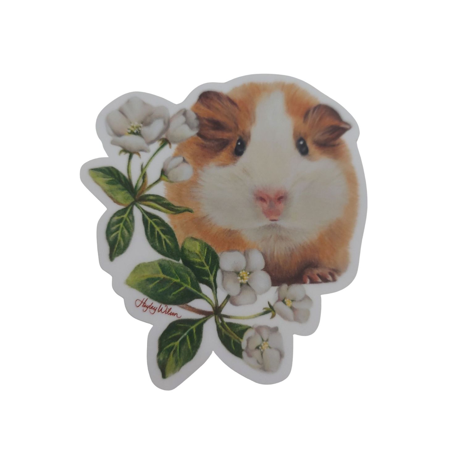 Guinea Pig Sticker - Hide and Seek