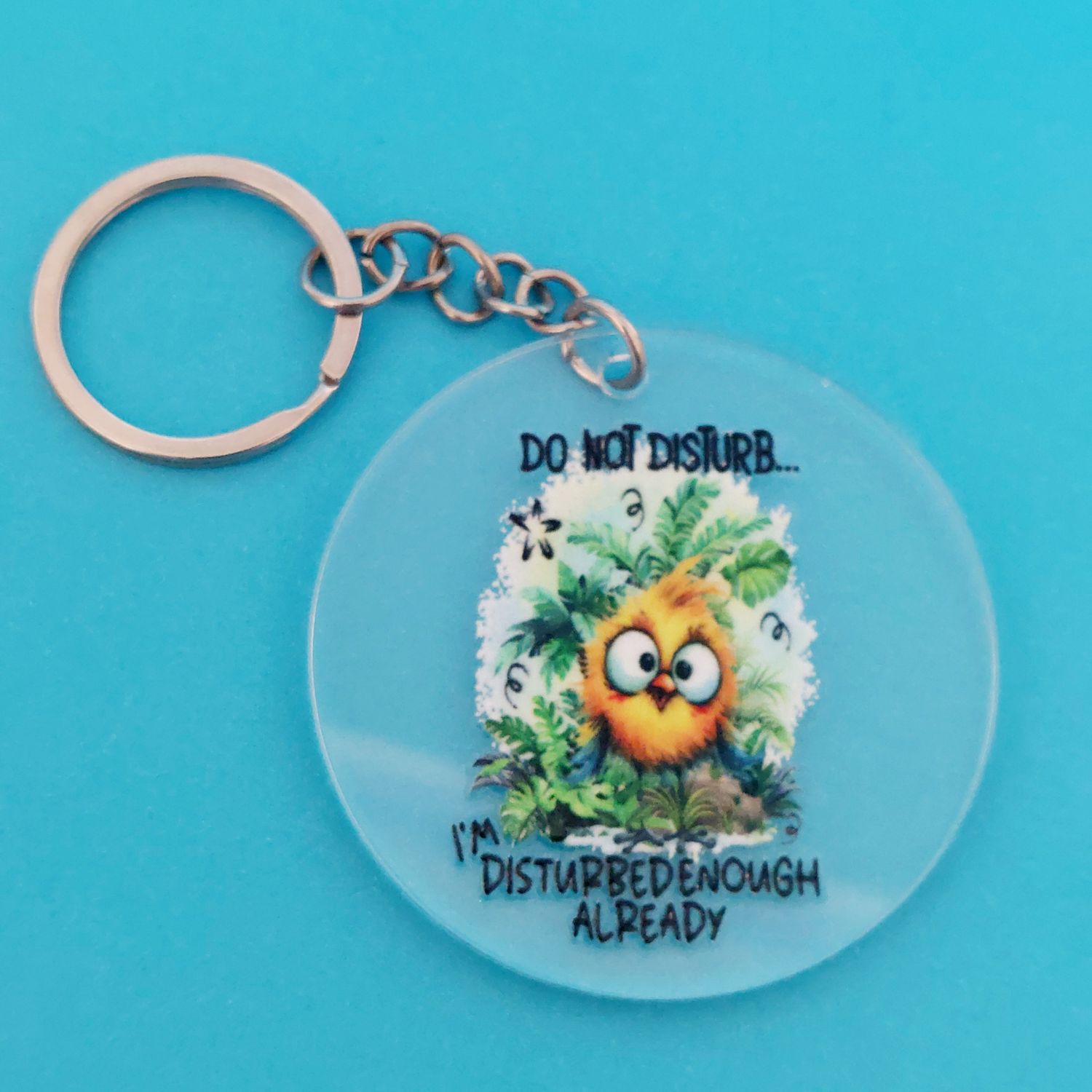 Acrylic Bird Keyring: Do Not Disturb Quote