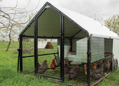 Heritage Port-A-Coop