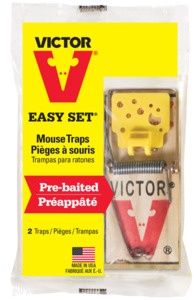 Easy Set Mouse Trap 2Pk