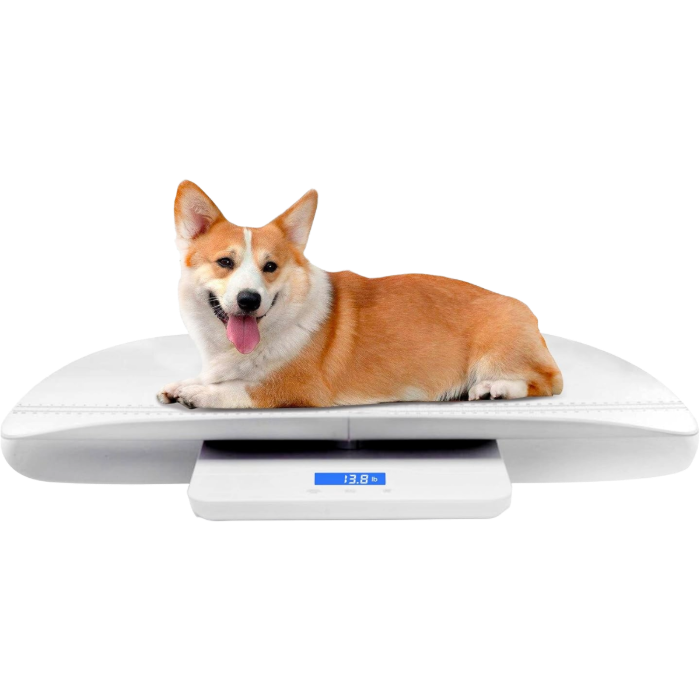 Digital Pet/Baby Scale