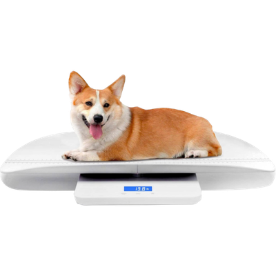 Digital Pet/Baby Scale
