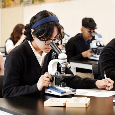 Microscope 40X-1000X
