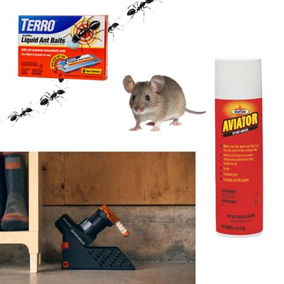 Pest Control