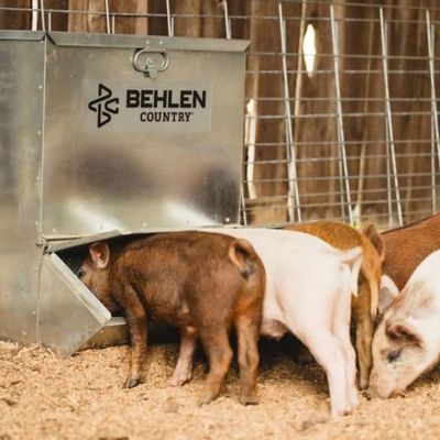 Hog  Easy-Feeder - Behlen