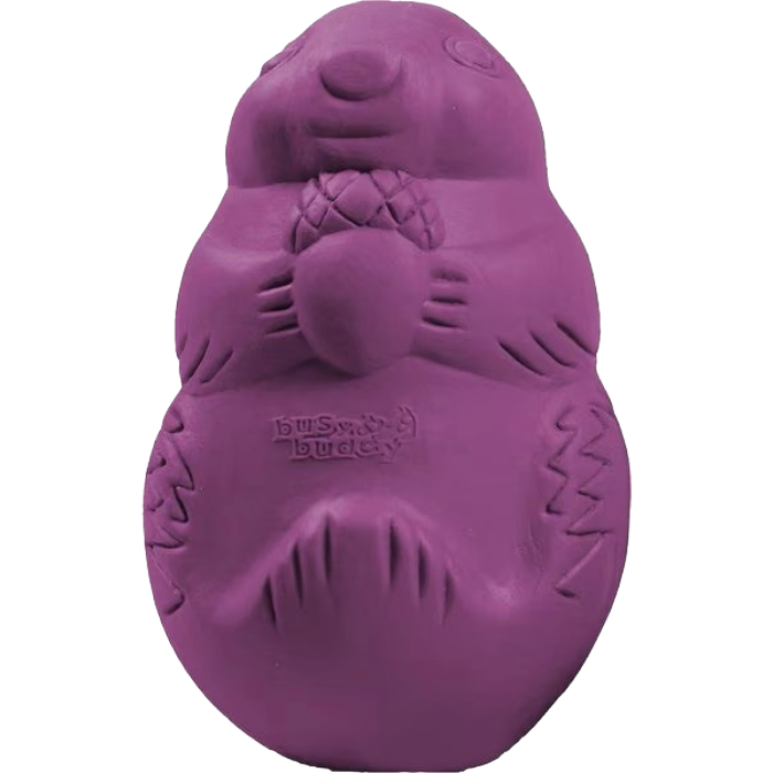 Busy Buddy Squirrel Large