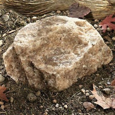 Trophy Rock