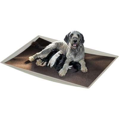 Hot Water Pan (Installed)