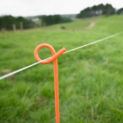 Standard Pigtail (Gallagher)