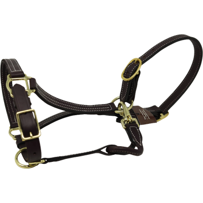 1" Brass  Leather Halter