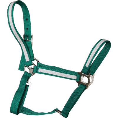 Standardbred Halter
