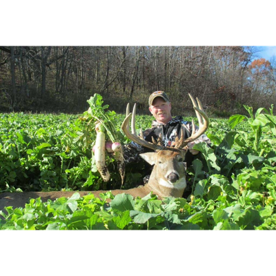 Honey Hole Mix - 40 lbs.