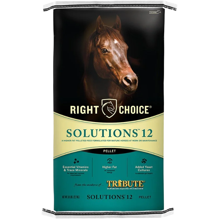 Solutions 12 - Pellet