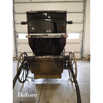 Buggy Wash &amp; Harness Cleaner