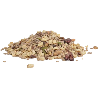 Woodpecker Favorite Bird Feed