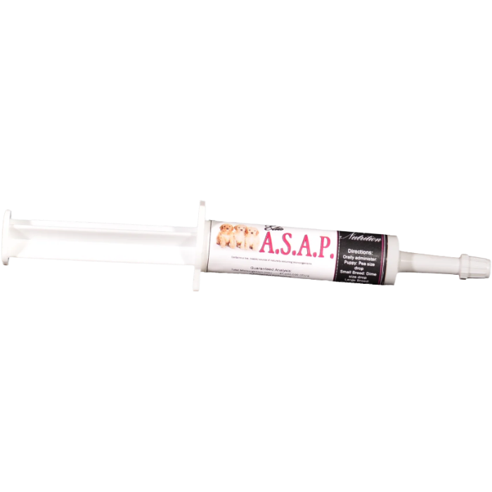 ASAP Dog Single Ct