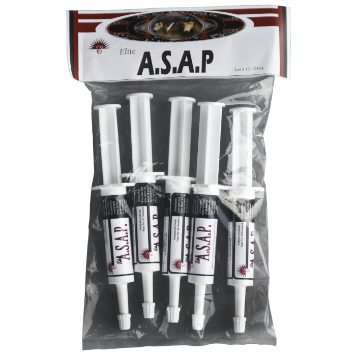 ASAP Equine Single Ct