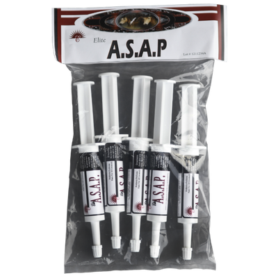 ASAP Equine Single Ct