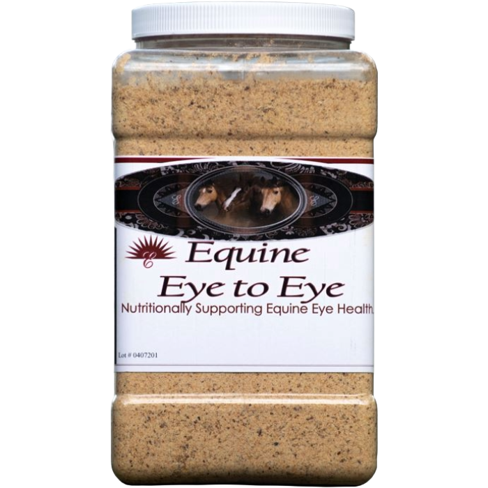 Equine Eye to Eye