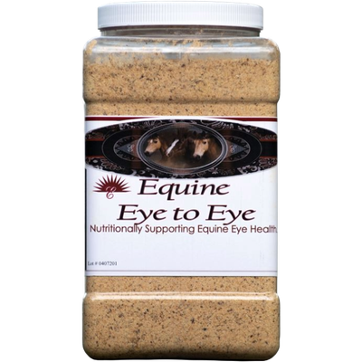 Equine Eye to Eye
