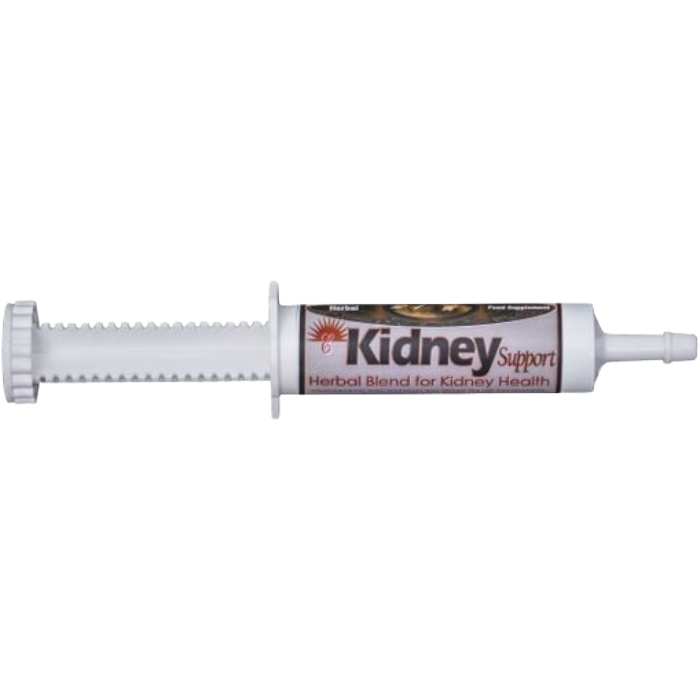 Equine Kidney Support Box of 25