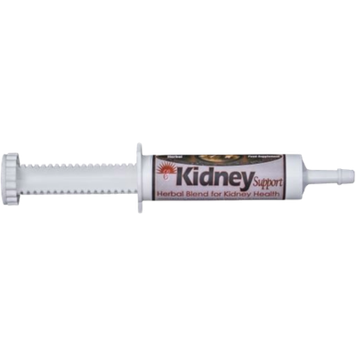 Equine Kidney Support Box of 25