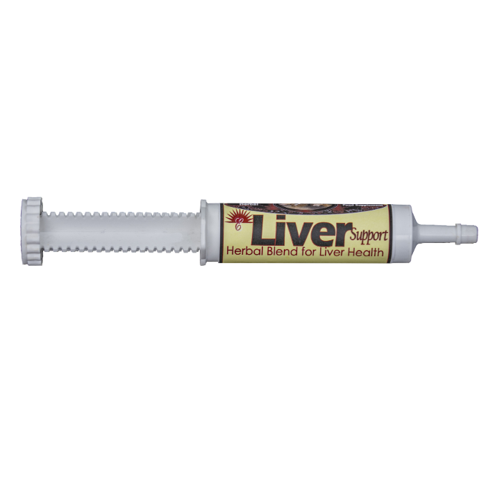 Equine Liver Support Box of 25