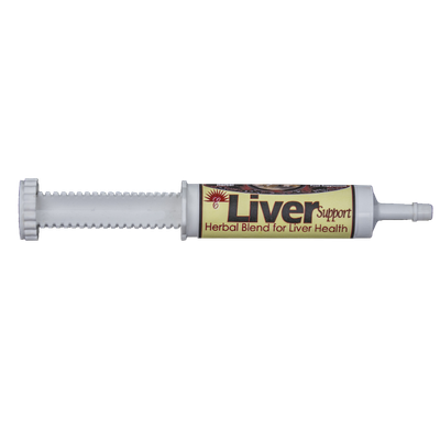 Equine Liver Support Box of 25