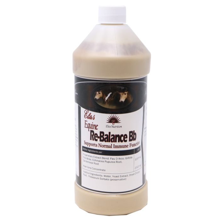 Equine Re-Balance BB